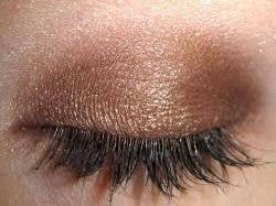Eco Espresso Eyeshadow
