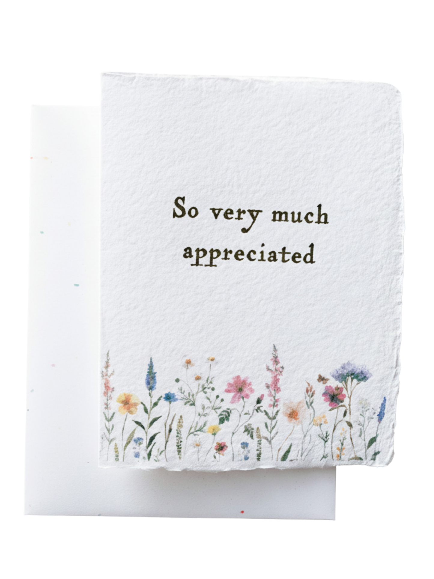 So Appreciated | Eco-Friendly Thank You Greeting Card